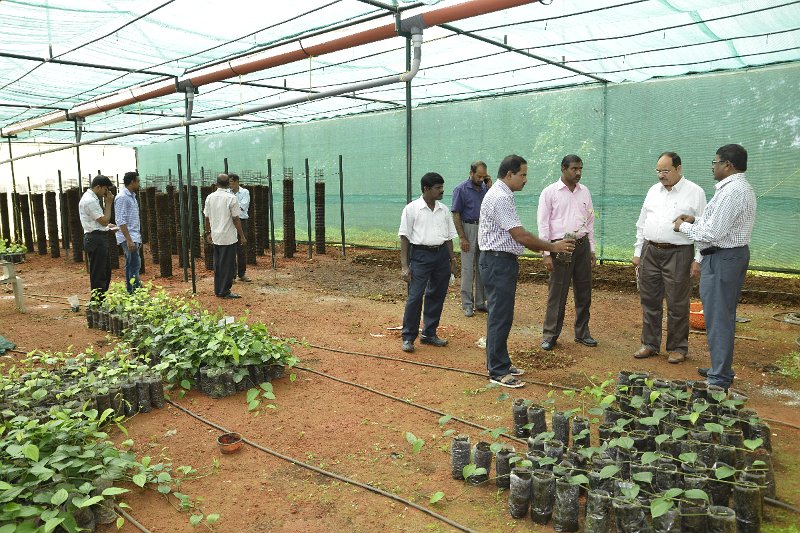 Pre-rabi Awareness (12).JPG